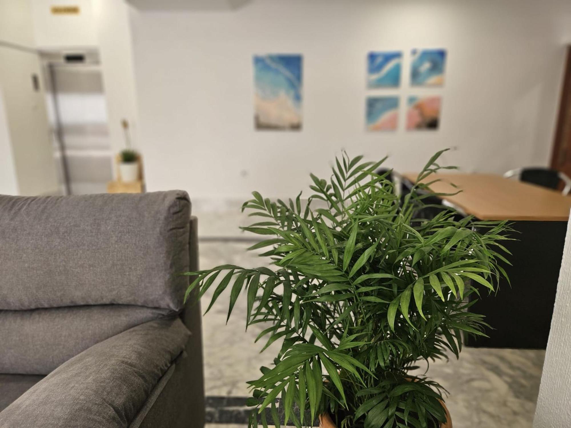 Hotel San Vicente - Centro Playa Conil De La Frontera Zewnętrze zdjęcie
